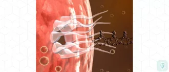 Вирусы гриппа типов A, Al, A2