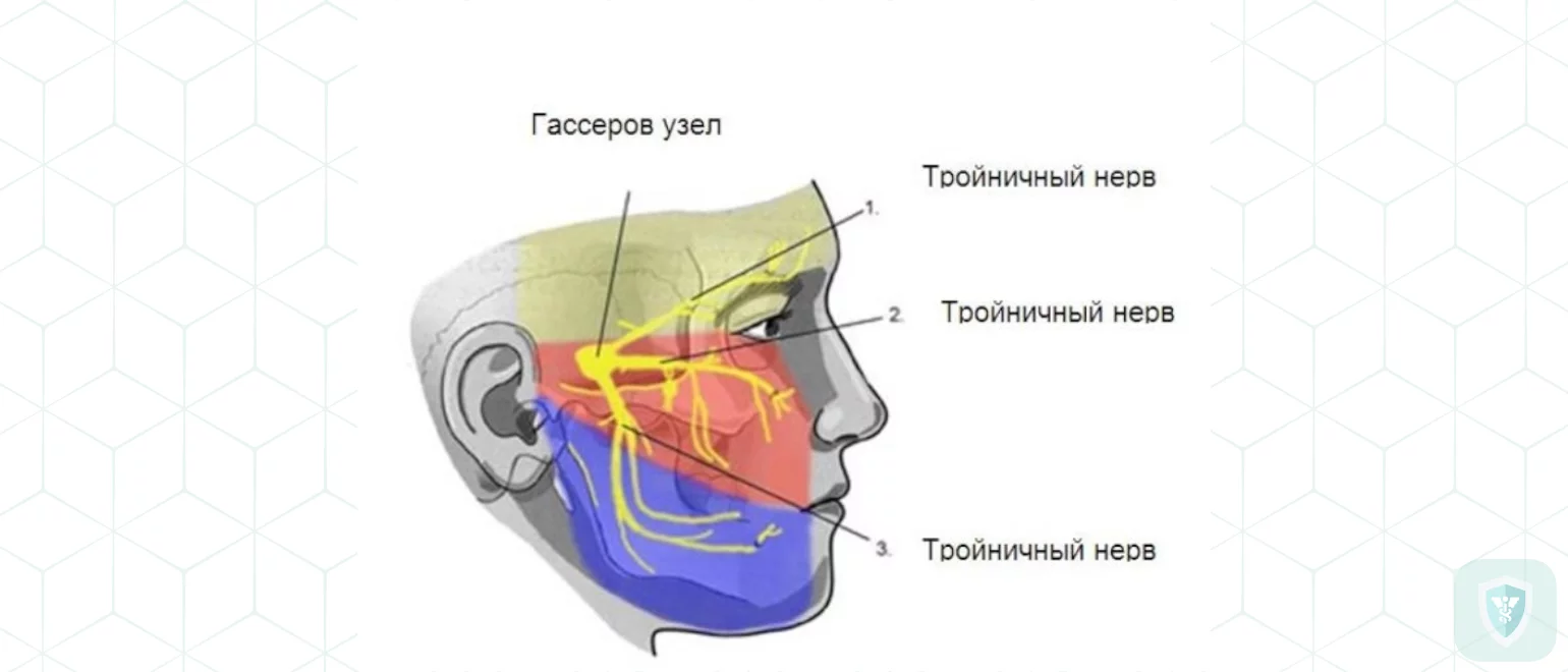 Ганглионит звездчатого узла