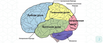 Наблюдение поражения головного мозга