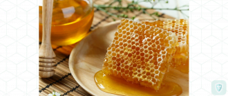Укрепляем иммунитет медовухой и медом