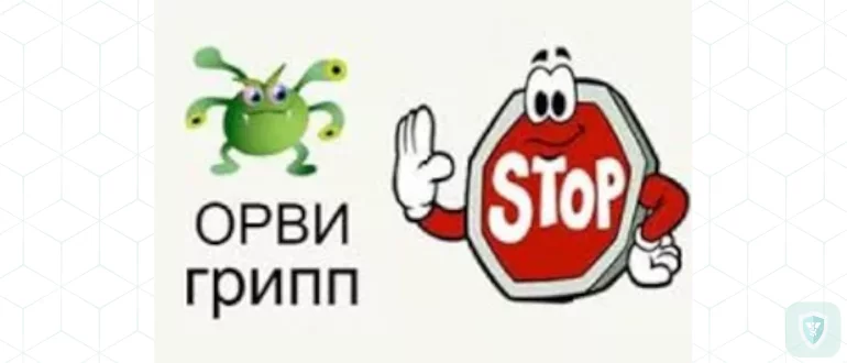 В основном гриппом заболевают люди