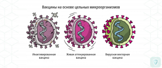 Вакцина из живого ослабленного вируса гриппа