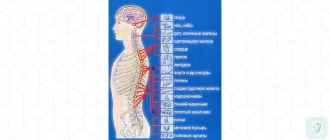 Заболевания периферической нервной системы