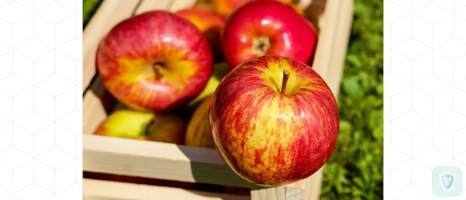 Полезные свойства яблок Полезные свойства яблок